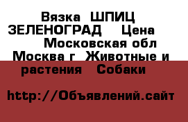 Вязка. ШПИЦ. ЗЕЛЕНОГРАД. › Цена ­ 3 000 - Московская обл., Москва г. Животные и растения » Собаки   
